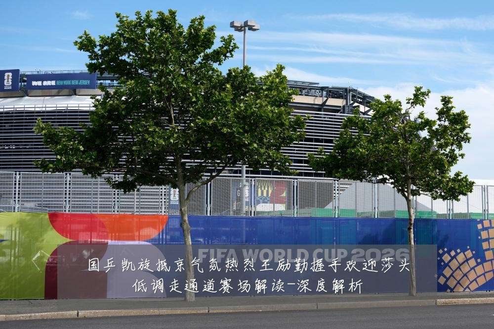 国乒凯旋抵京气氛热烈王励勤握手欢迎莎头低调走通道赛场解读-深度解析